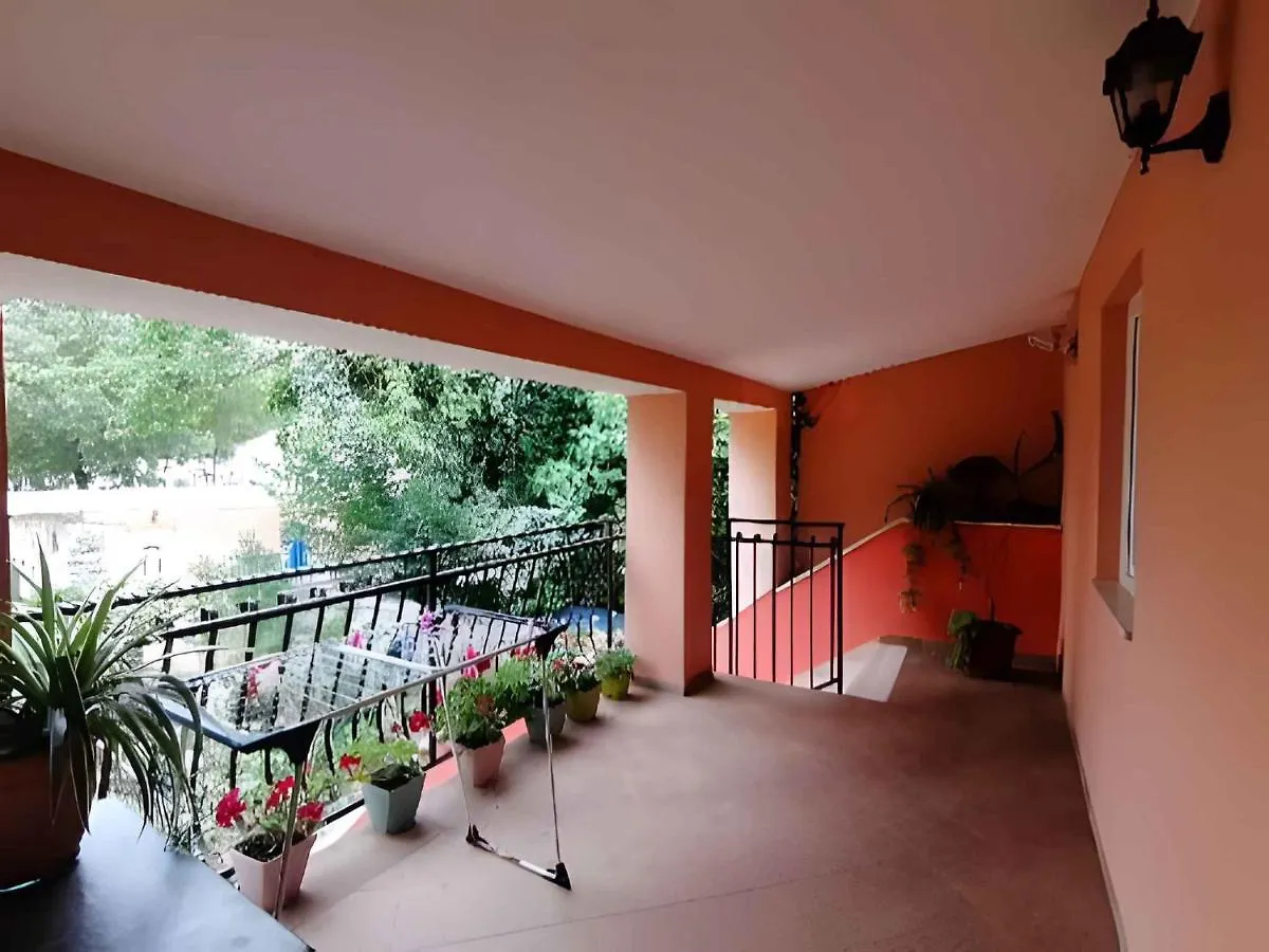 Apartment In Rovinj/Istrien 11648